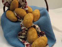 Reveille Russet Potatos