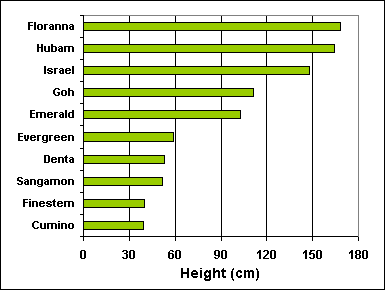 height