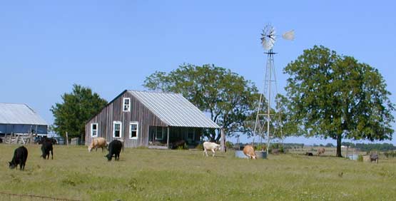 windmill